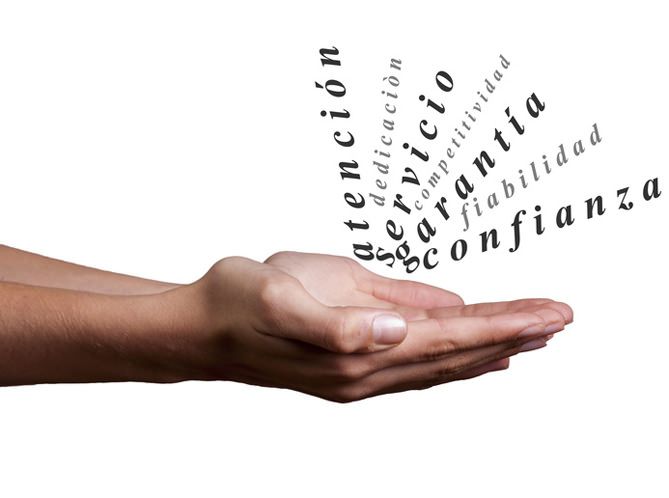 contacto orientadorweb