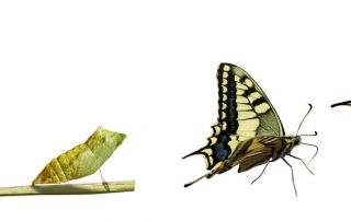 como montar tienda online orientadorweb